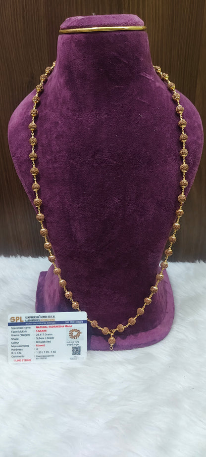 Original rudraksha with panchaloham caping and certificate