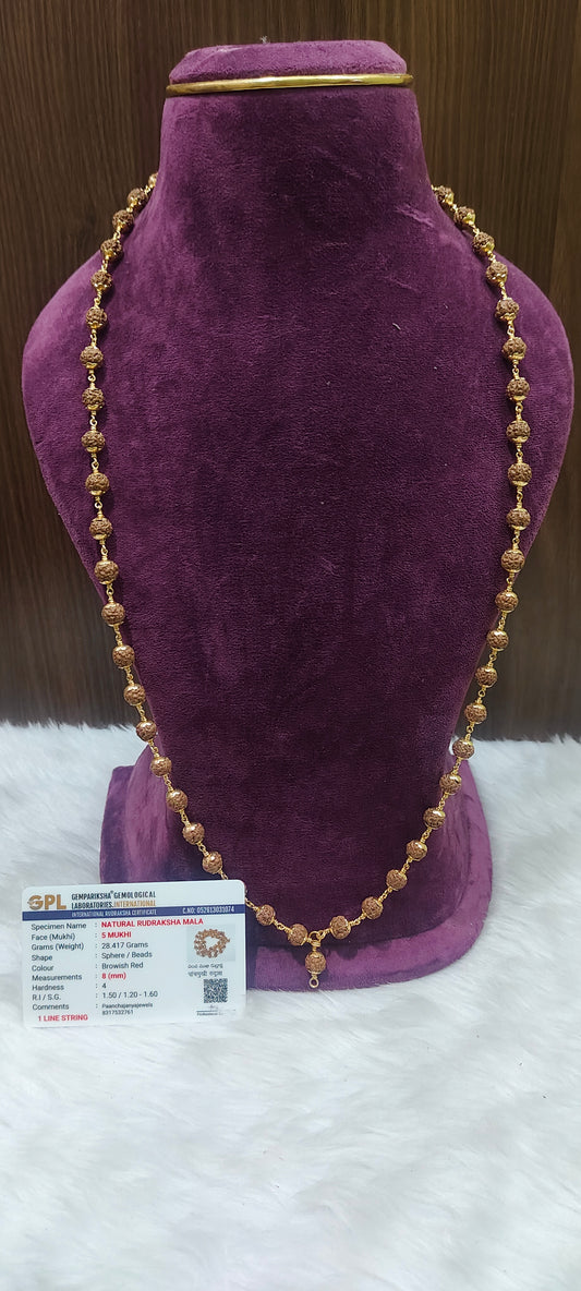 Original rudraksha with panchaloham caping and certificate