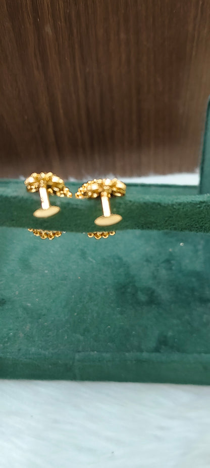 Premium micro gold plated daily wear earrings