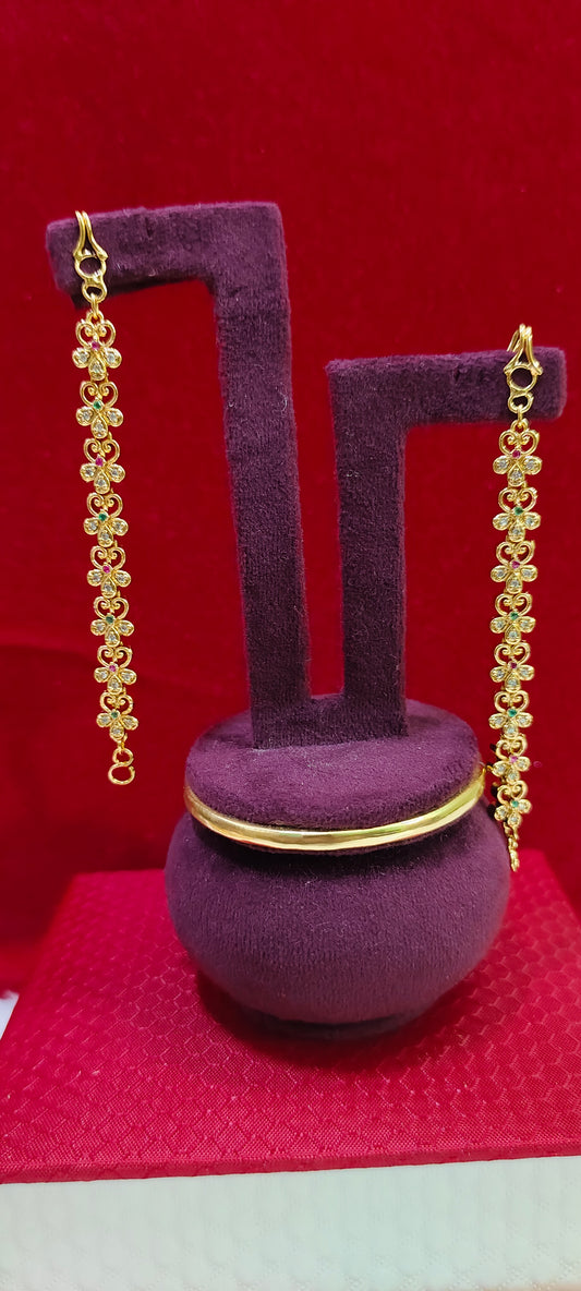 Premium nakshiaati