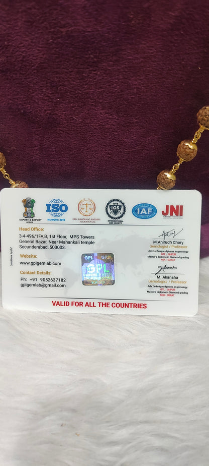 Original rudraksha with panchaloham caping and certificate