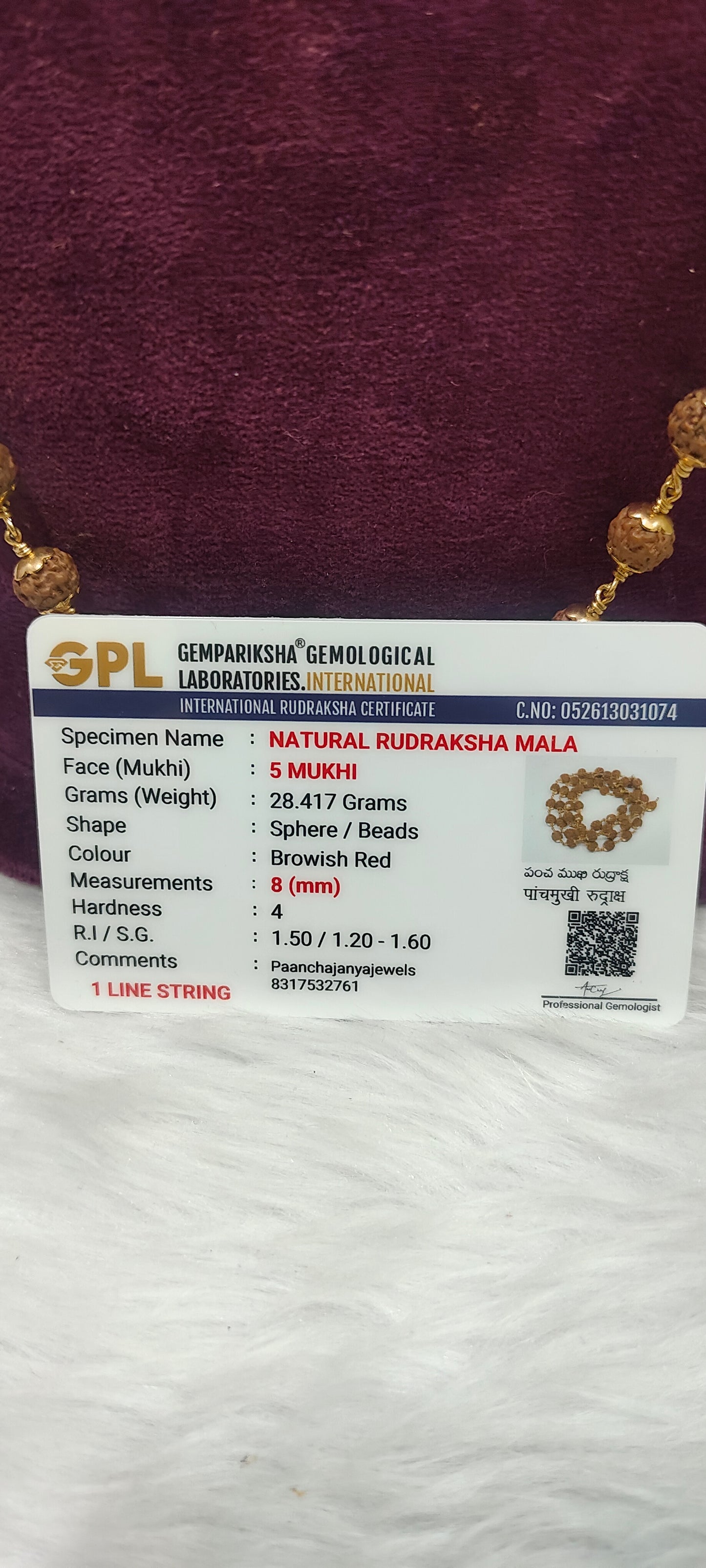 Original rudraksha with panchaloham caping and certificate