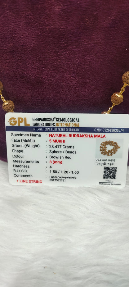Original rudraksha with panchaloham caping and certificate